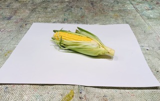 IMG_2140.jpeg