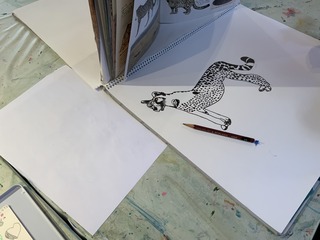 IMG_6093.jpeg
