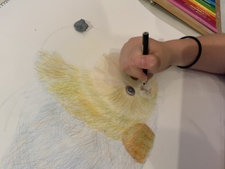 IMG_3768.jpeg