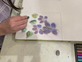 IMG_3959.jpeg