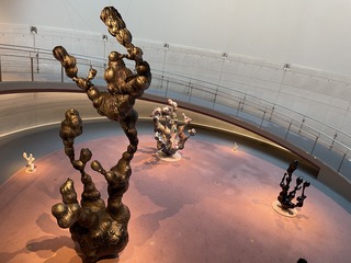 IMG_4350.jpeg