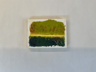 IMG_6318.jpeg