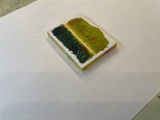 IMG_6319.jpeg