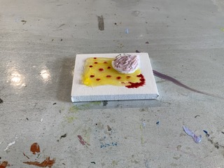 IMG_6844.jpeg