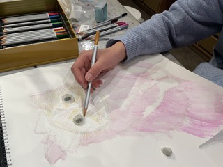 IMG_8024.jpeg