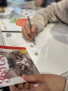 IMG_8528.jpeg