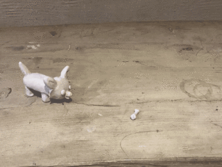 02F70F03-43A4-4D88-86EA-2A0427E13244.gif