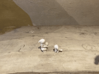 1FE5ED9F-F8B0-440D-BC7B-8B165E6EBE00.gif