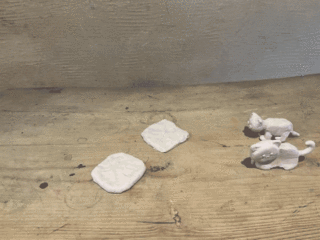 55F7B290-9323-49BA-BB2E-780B2945FE32.gif