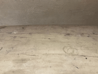78E1DB0C-93A2-40CC-8378-0C45F74D210D.gif