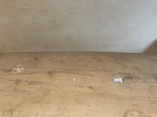 C44965D8-98FB-4764-8D17-690540B2F9DC.gif
