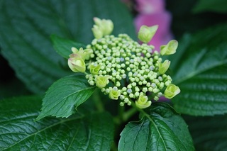 DSC_0280.jpg