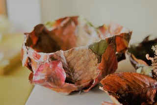 DSC_0396.JPG