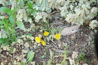 DSC_2859.jpg
