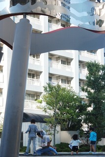 DSC_6612.jpg