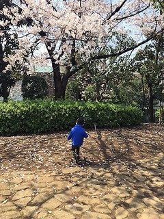 IMG_7010.JPG
