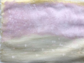 IMG_7042.jpeg