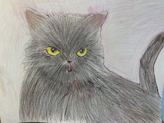 IMG_7165.jpeg