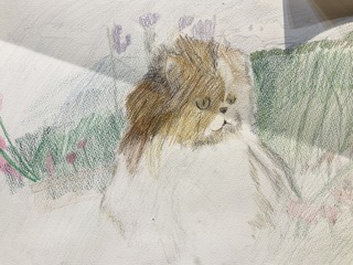 IMG_7166.jpeg