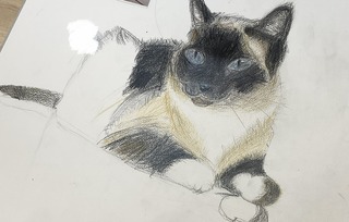 IMG_7178.jpeg