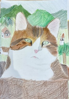 IMG_7198.jpeg