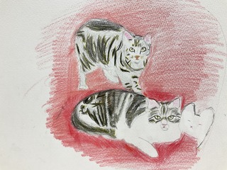 IMG_7199.jpeg