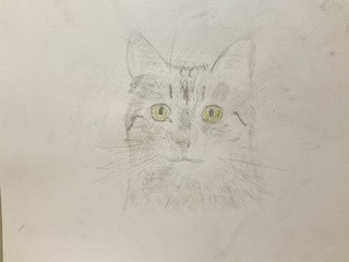 IMG_7201.jpeg