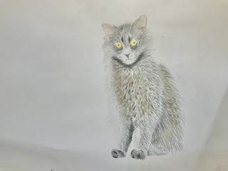 IMG_7215.jpeg