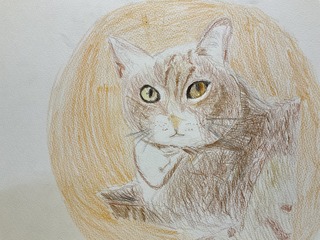 IMG_7221.jpeg