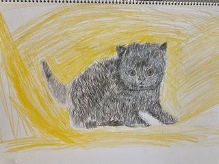 IMG_7224.jpeg