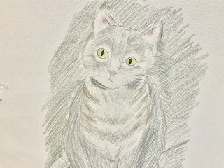 IMG_7226.jpeg