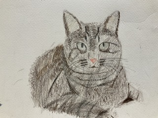 IMG_7230.jpeg