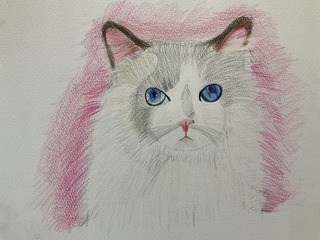 IMG_7231.jpeg