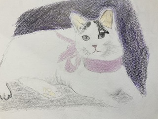 IMG_7232.jpeg