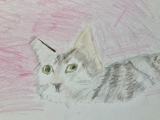 IMG_7233.jpeg