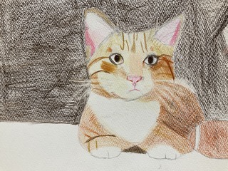 IMG_7234.jpeg