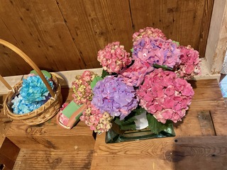 IMG_7291.jpeg