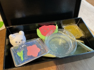 IMG_7390.jpeg