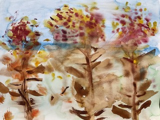 IMG_7885.jpeg