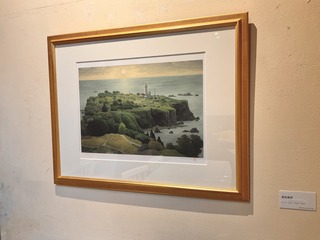IMG_7969.jpeg