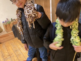 IMG_8267.jpeg