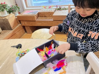 IMG_8341.jpeg