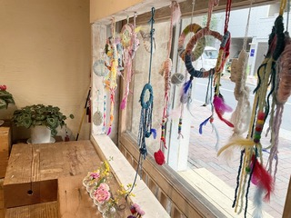 IMG_8377.jpeg