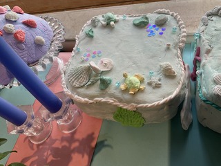 IMG_8537.jpeg