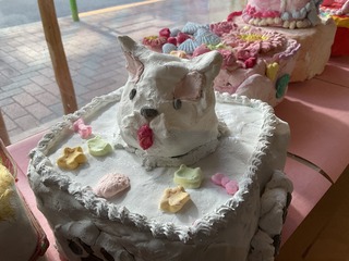IMG_8538.jpeg
