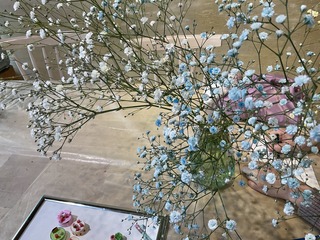 IMG_8547.jpeg