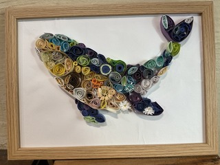 IMG_8552.jpeg