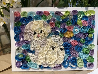 IMG_8656.jpeg