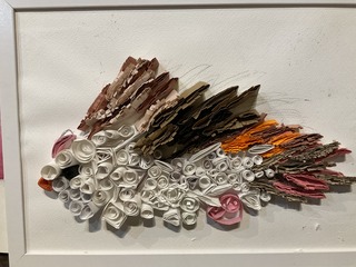 IMG_8659.jpeg