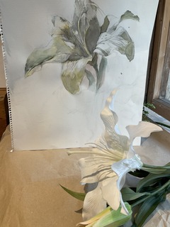IMG_8673.jpeg